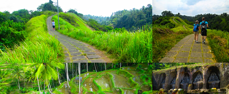 Ubud Tour